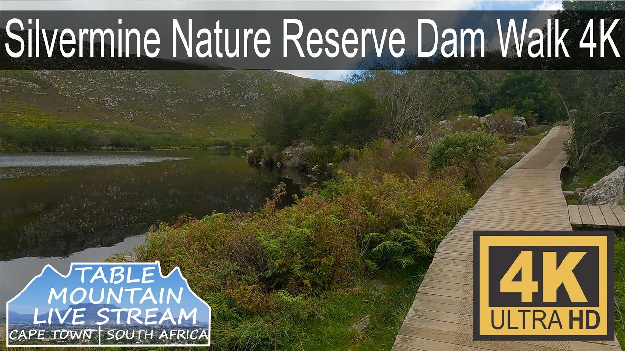 Silvermine Nature Reserve Dam Walk 4K