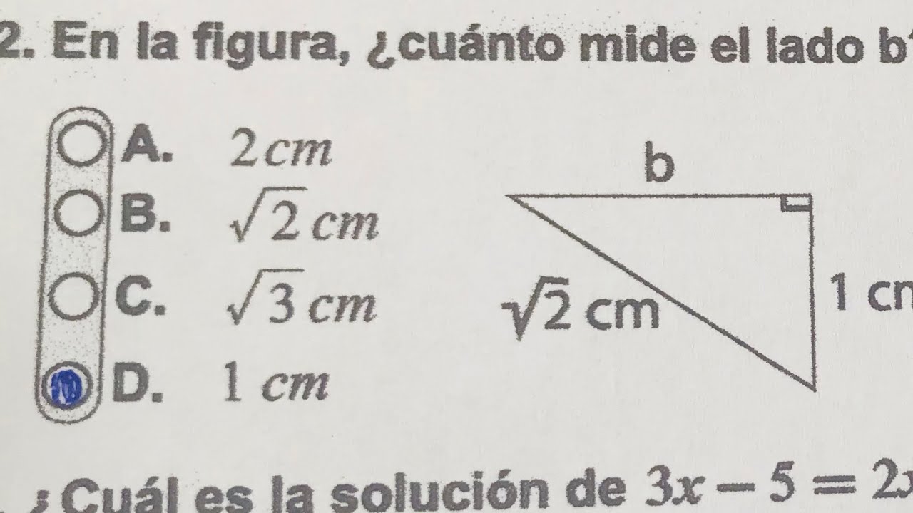 Prueba diagnostica de matemáticas Decimo grado parte 1