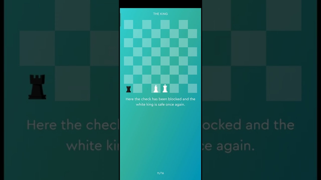 The King Moves - Magnus Trainer