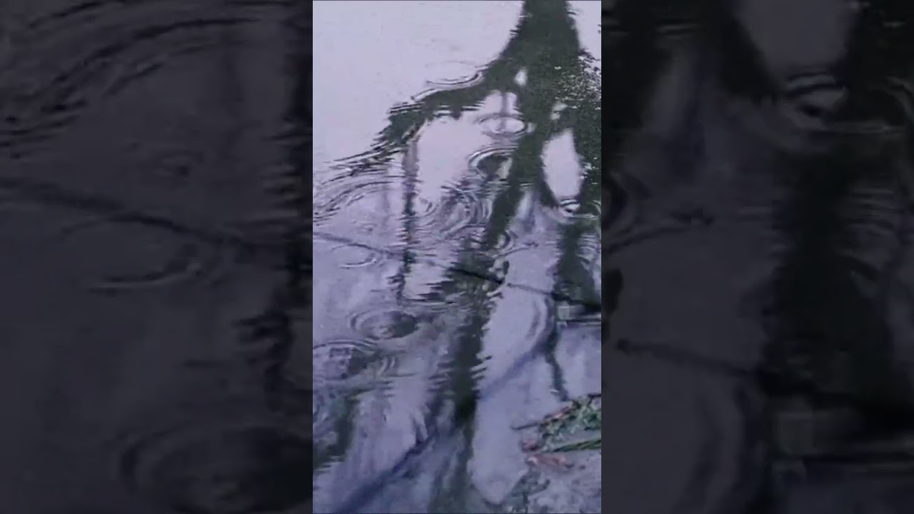 ♾️💧Gentle City Rain Sounds 