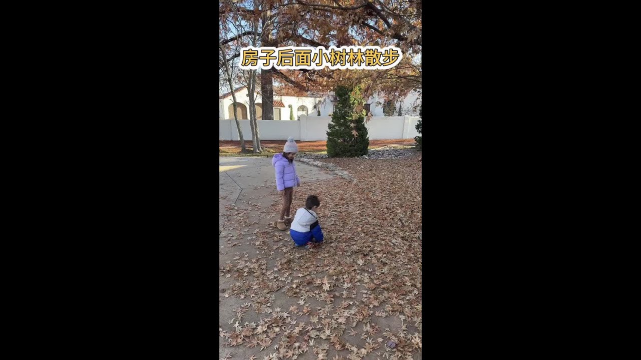周六日常，早上后和孩子们小树林散步，中午去老公干妈家蹭饭，晚上窝家里休息，放松身心。