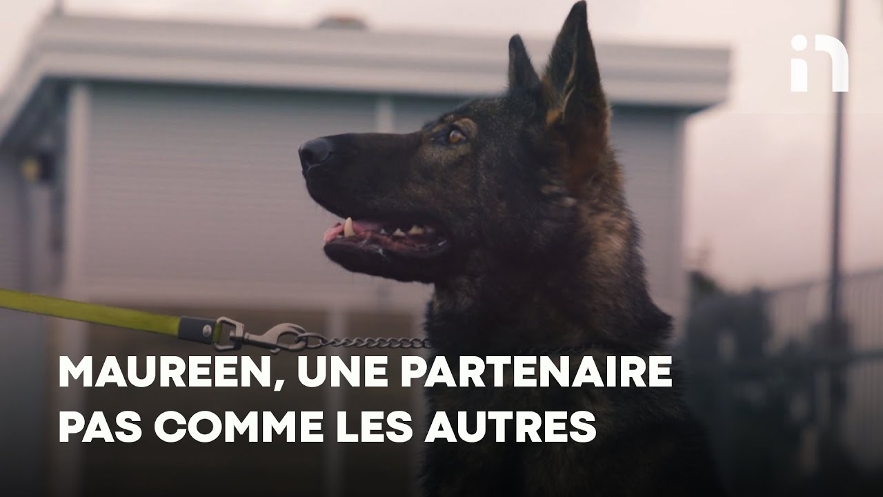 Ce chien n'est pas comme les autres