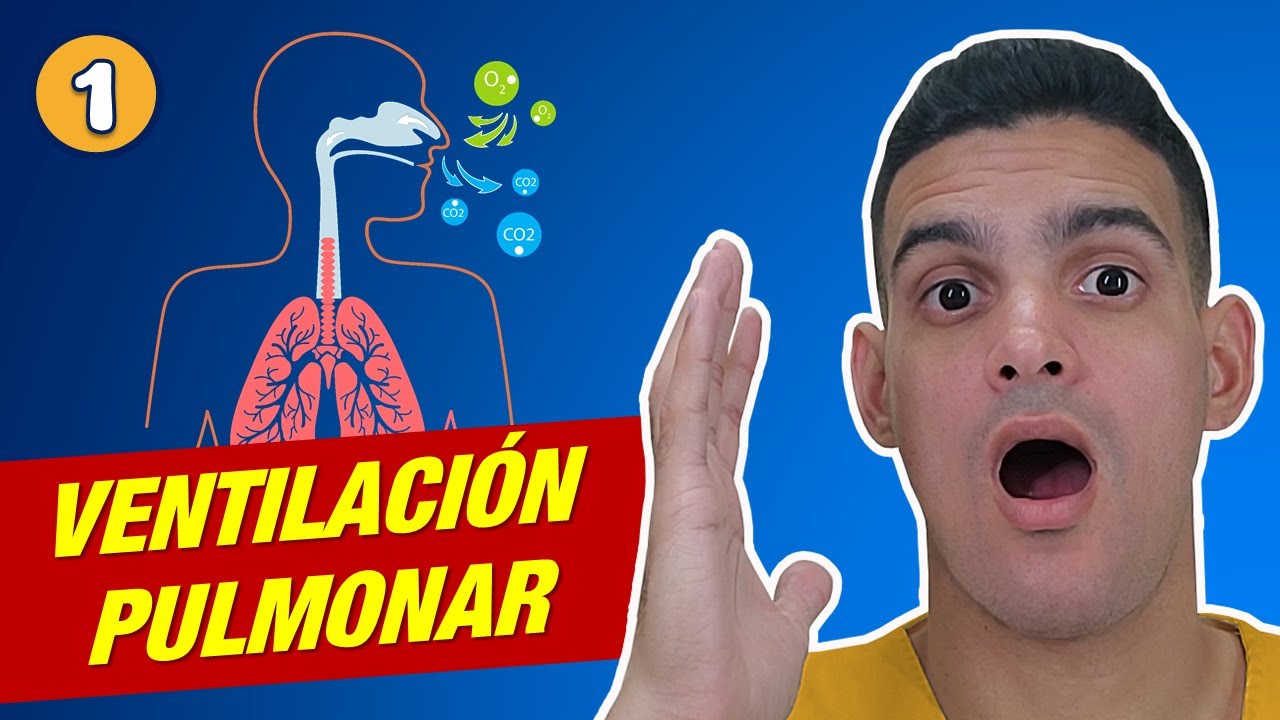 🫁¡VENTILACIÓN PULMONAR! ETAPAS Y FASES de la MECÁNICA VENTILATORIA (FISIOLOGÍA RESPIRATORIA 1)