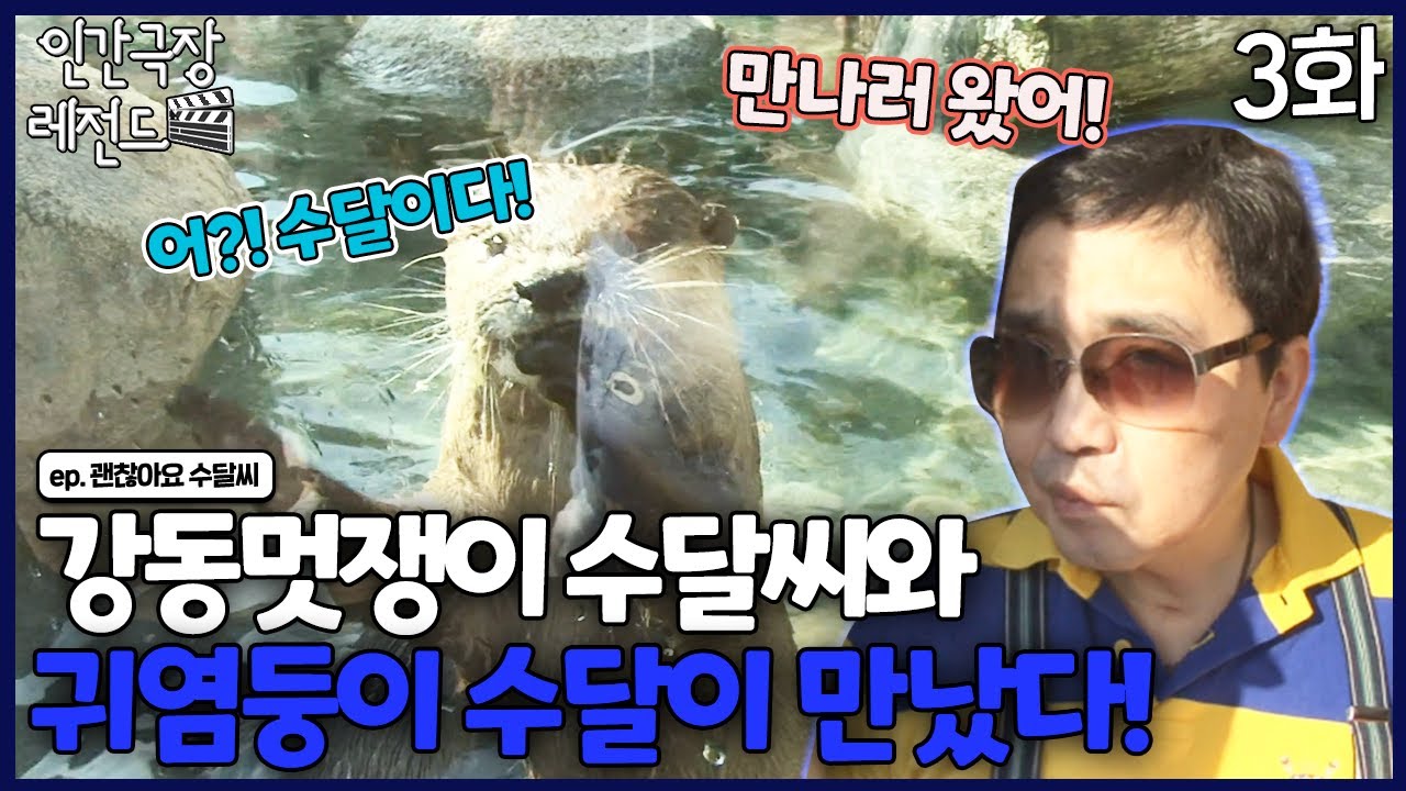 [인간극장 레전드 #228-3] 강동멋쟁이 수달씨와 귀염둥이 수달이 만났다! | 괜찮아요 수달씨 (3/5) [KBS 100927-101001 방송]