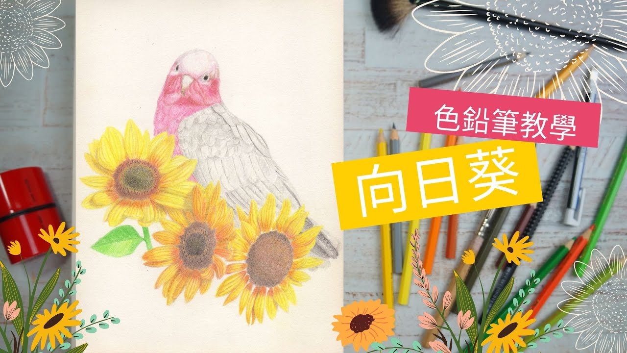 [色鉛筆教學] 如何用色鉛筆畫向日葵