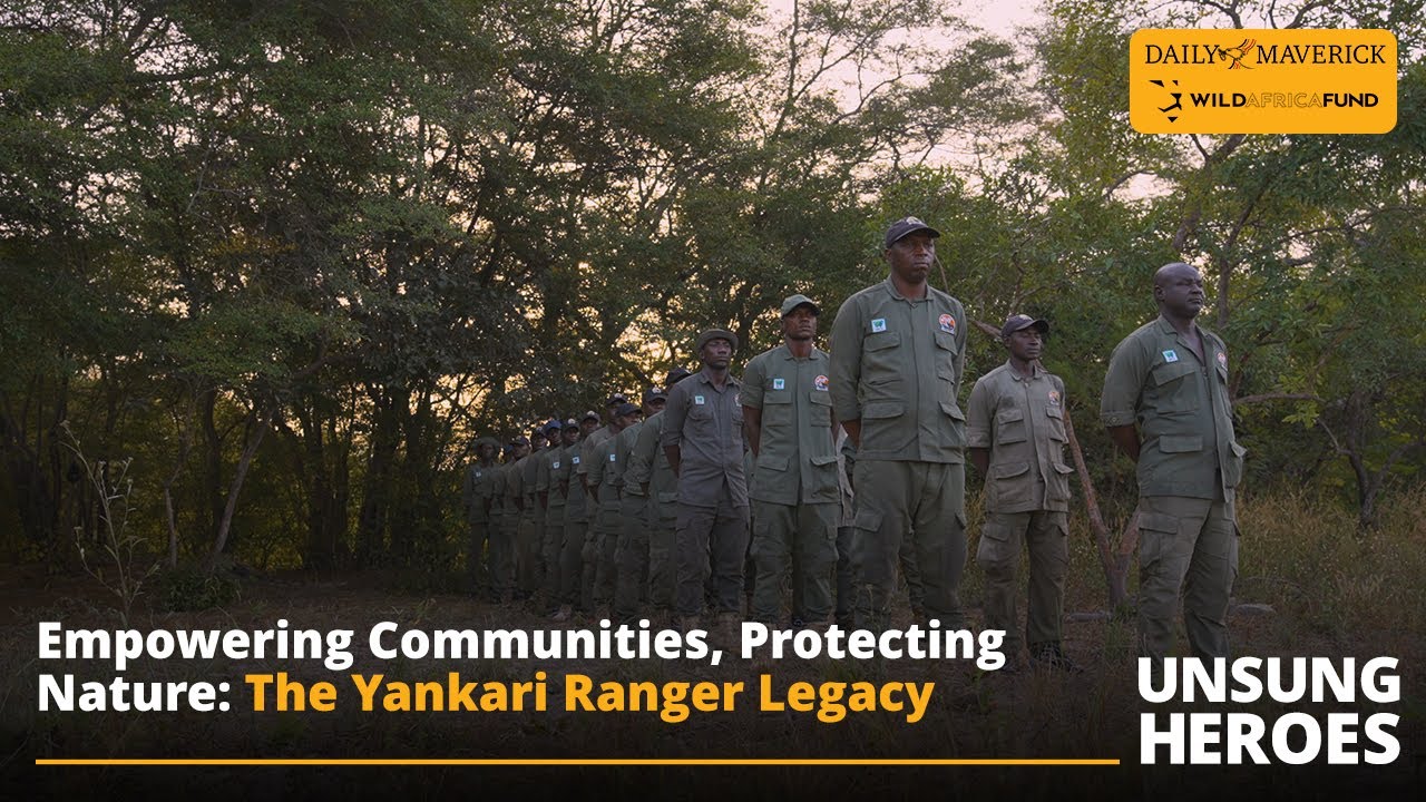 UNSUNG HEROES | Yankari Rangers