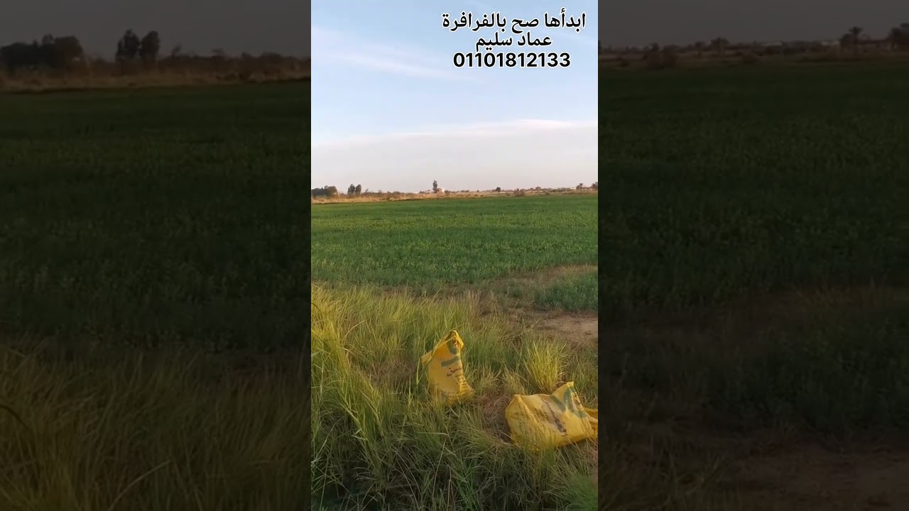 ارض ١٠ فدان جمعيه خالصه بجوار القري والخدمات بير أعماق تربه ممتازه للمحاصيل بالفرافرة