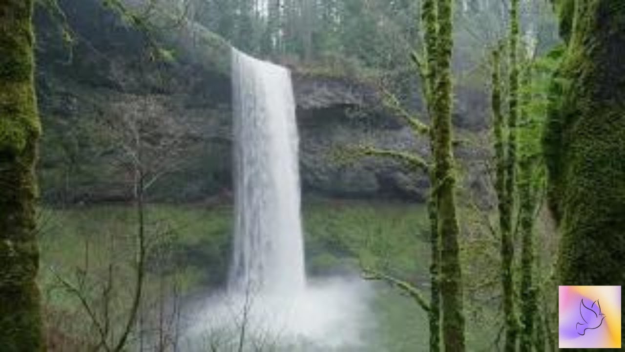 Meditation Music for Sleep with nature I for positive energy I for Anxiety (30 Min)