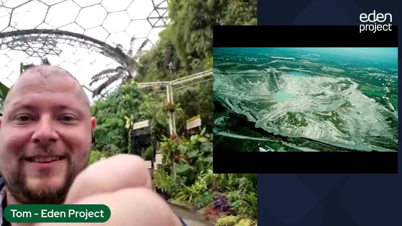 The Rainforest Big Lunch | Live Lesson Recording