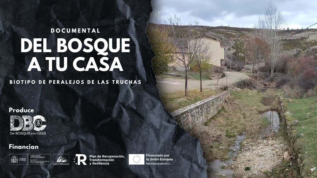 Poniendo en valor la TILA en PERALEJO DE LAS TRUCHAS (Del Bosque a tu casa)