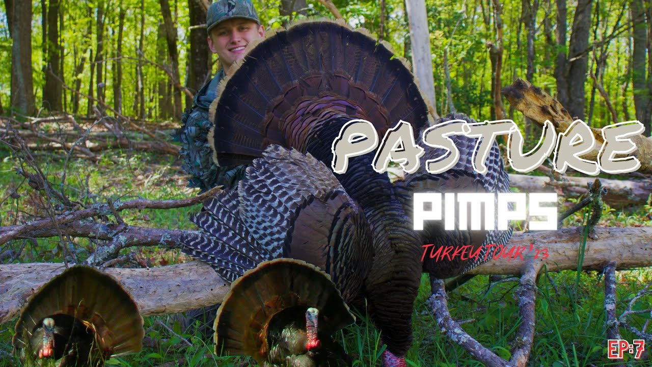 PASTURE PIMPS | Turkey Hunting Georgia in LATE April! | Overcalling? Fired Up HEN PROVES Otherwise!