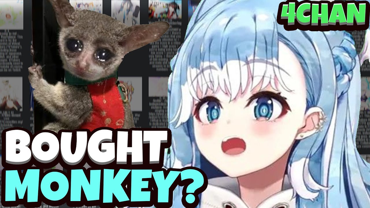 Kobo Bought A Monkey