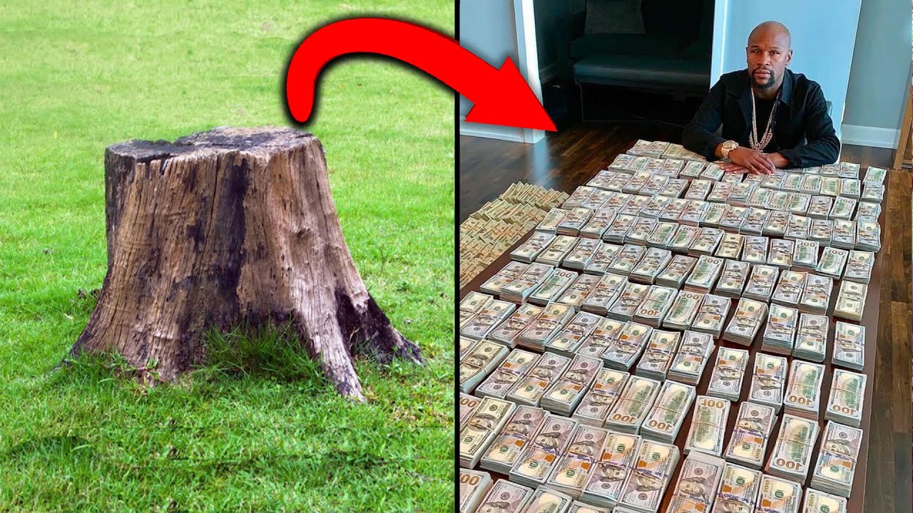 r/Pettyrevenge Neighbor Cut My Trees & Had to Pay $300,000!