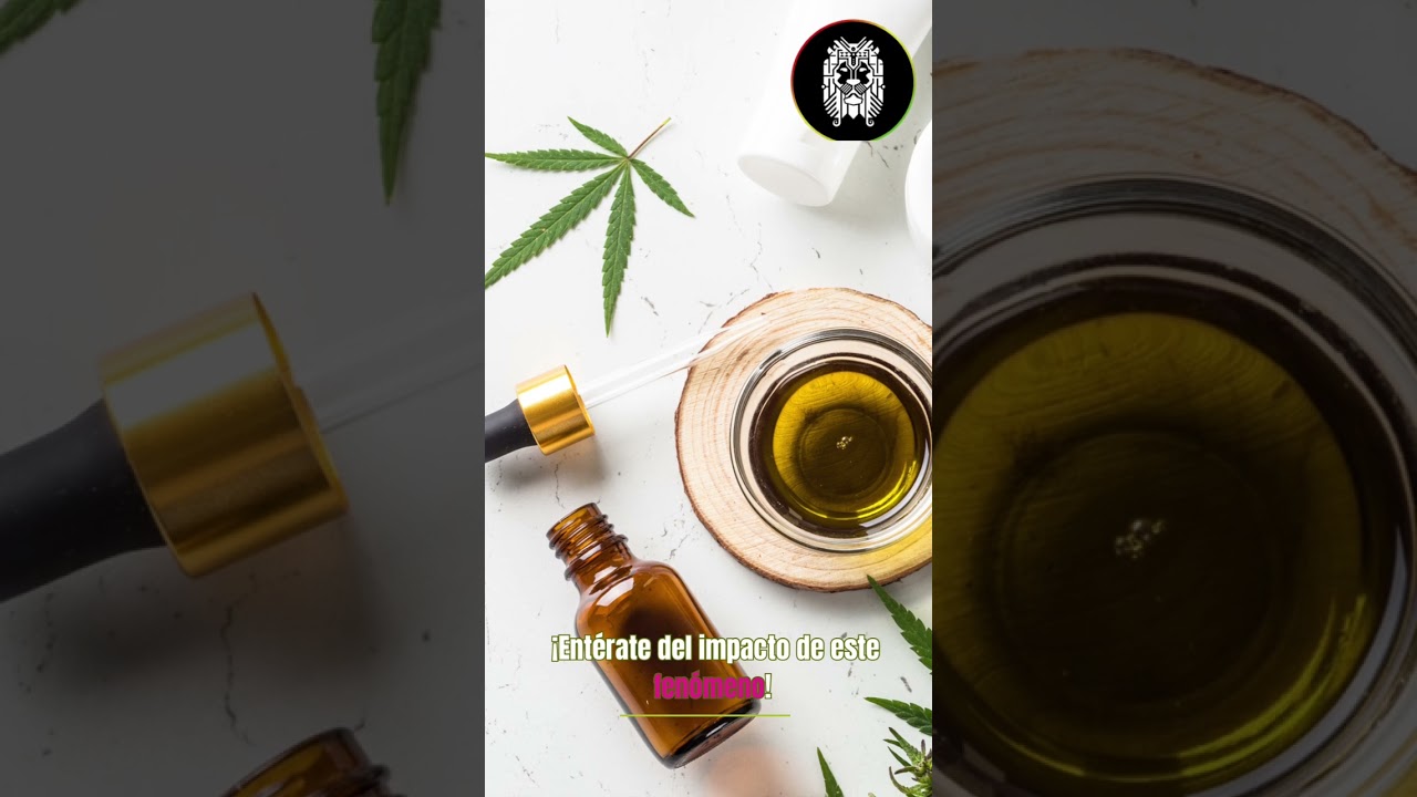 Cannabis medicinal, gastronom&iacute;a y legalizaci&oacute;n: lo que revela The Legend of 420 sobre el presente y