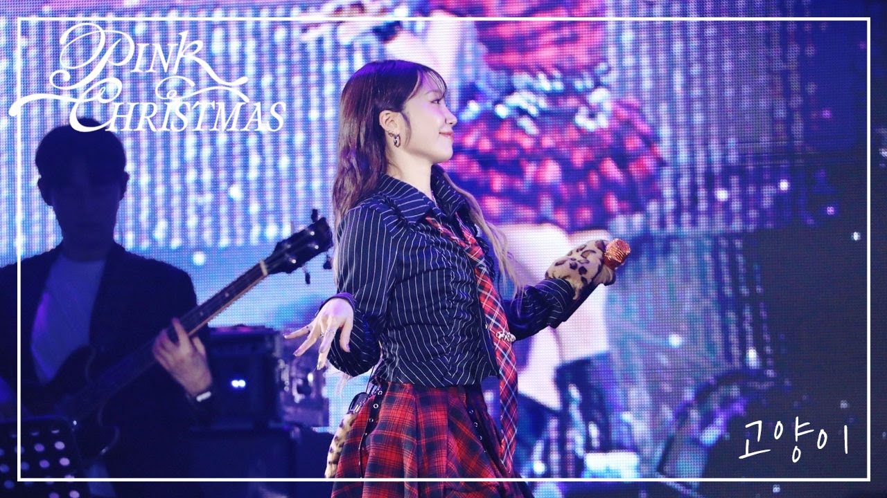 [4K] 241222 Apink - '고양이' #정은지 직캠 in [Pink christmas]