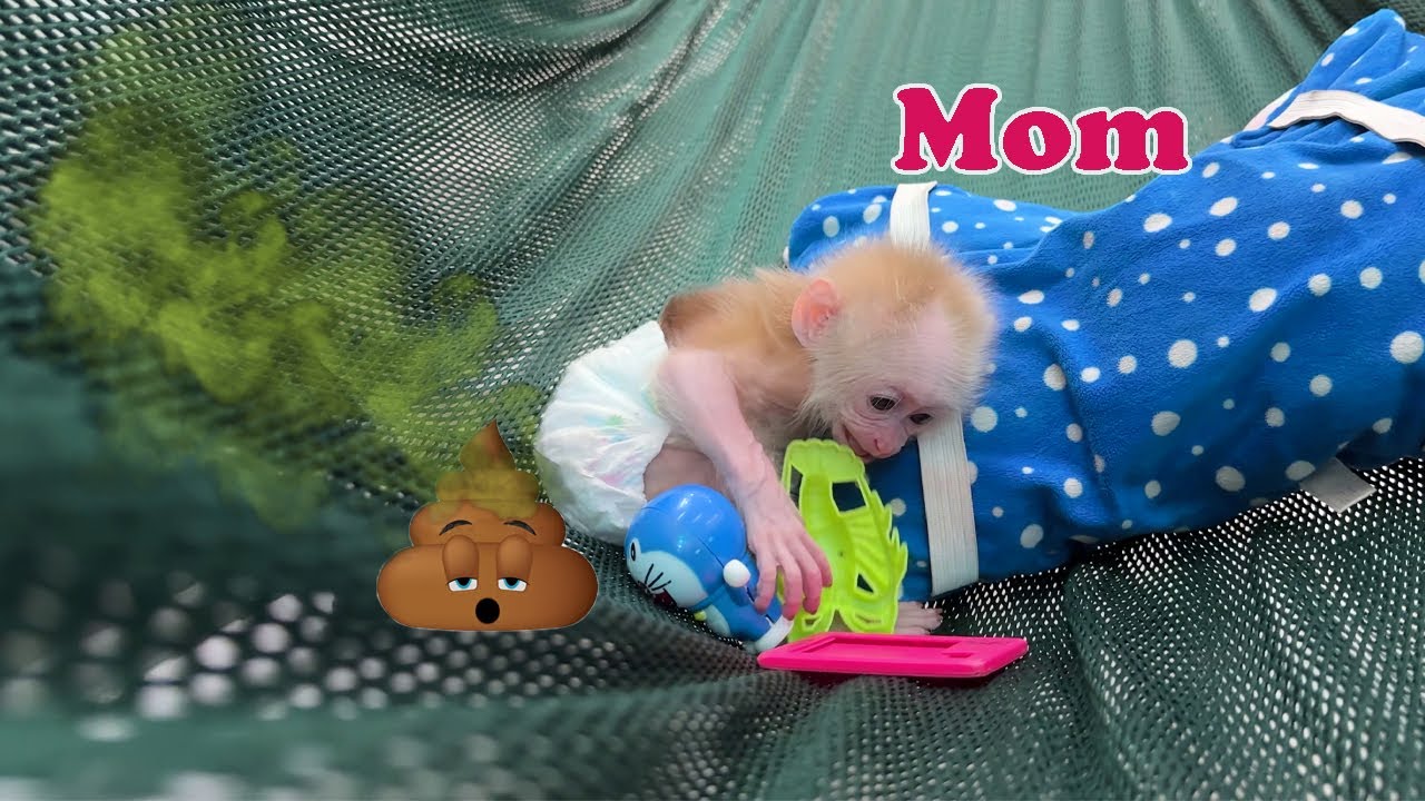Diaper is too full: Sunny screams for help from her mother: 