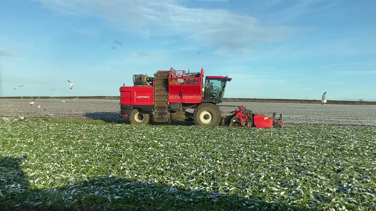 Agrifac Beet Harvester lifting Sugarbeet on a frost.
