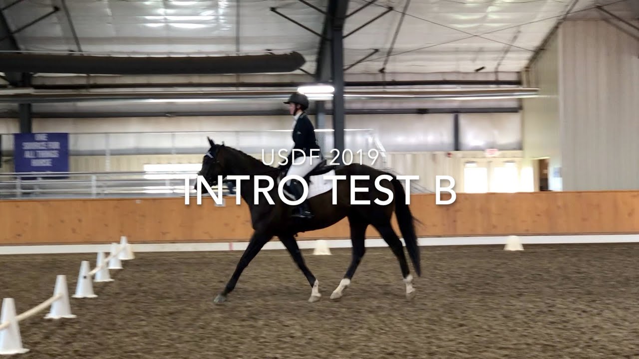 USDF INTRO TEST B 2019 - How to Ride