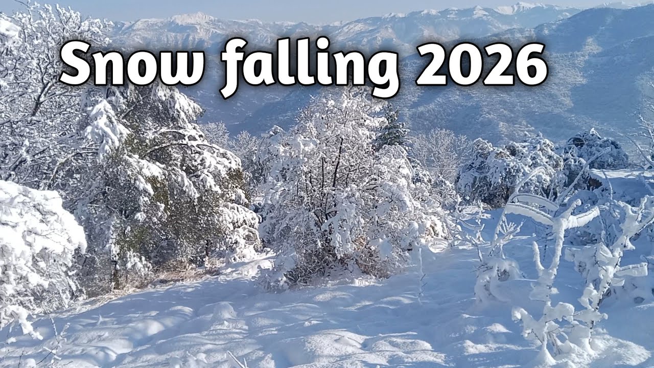 Snow falling 2026 || Snowfall amazing Views