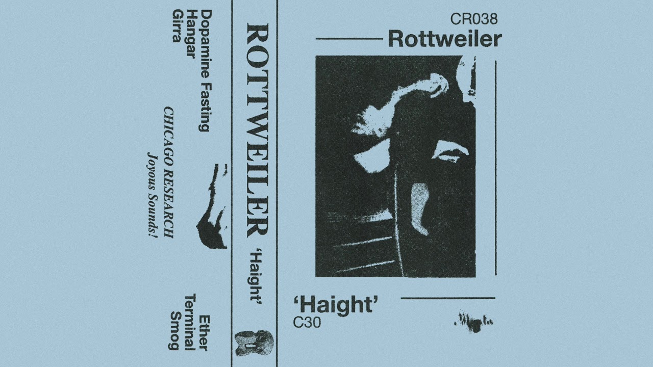 Rottweiler - Haight