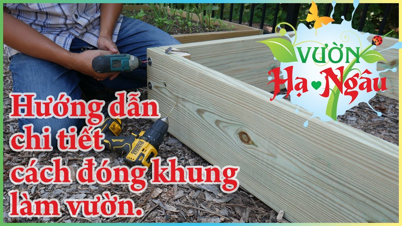 Đóng khung gỗ làm vườn trồng rau ở Mỹ, hướng dẫn chi tiết.
