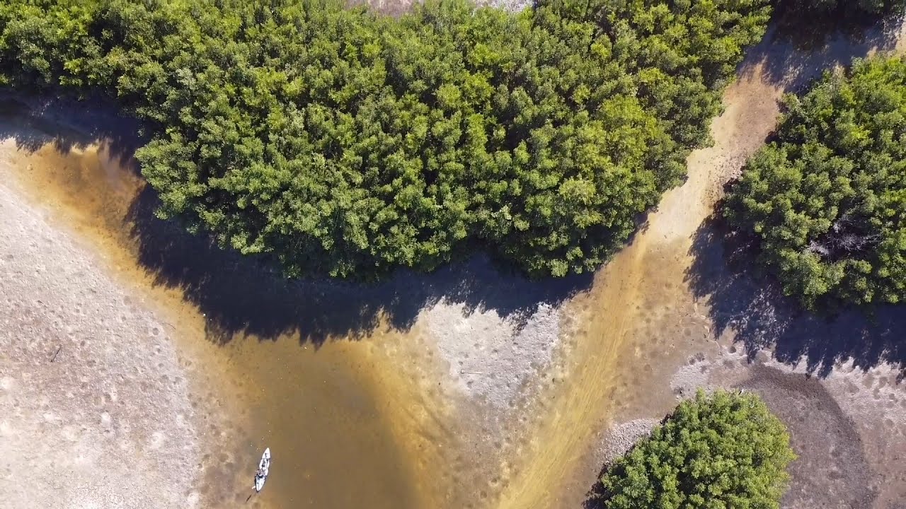 KAYAK FISHING for REDFISH in TAMPA BAY! #tampabay #redfish #kayak #13fishing