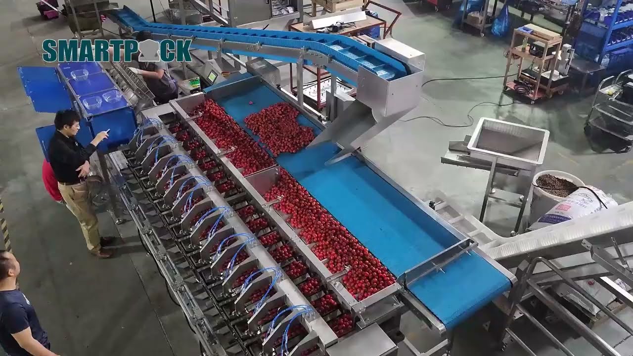 Fruits Cherry Tomatoes Clamshell System - smartpack