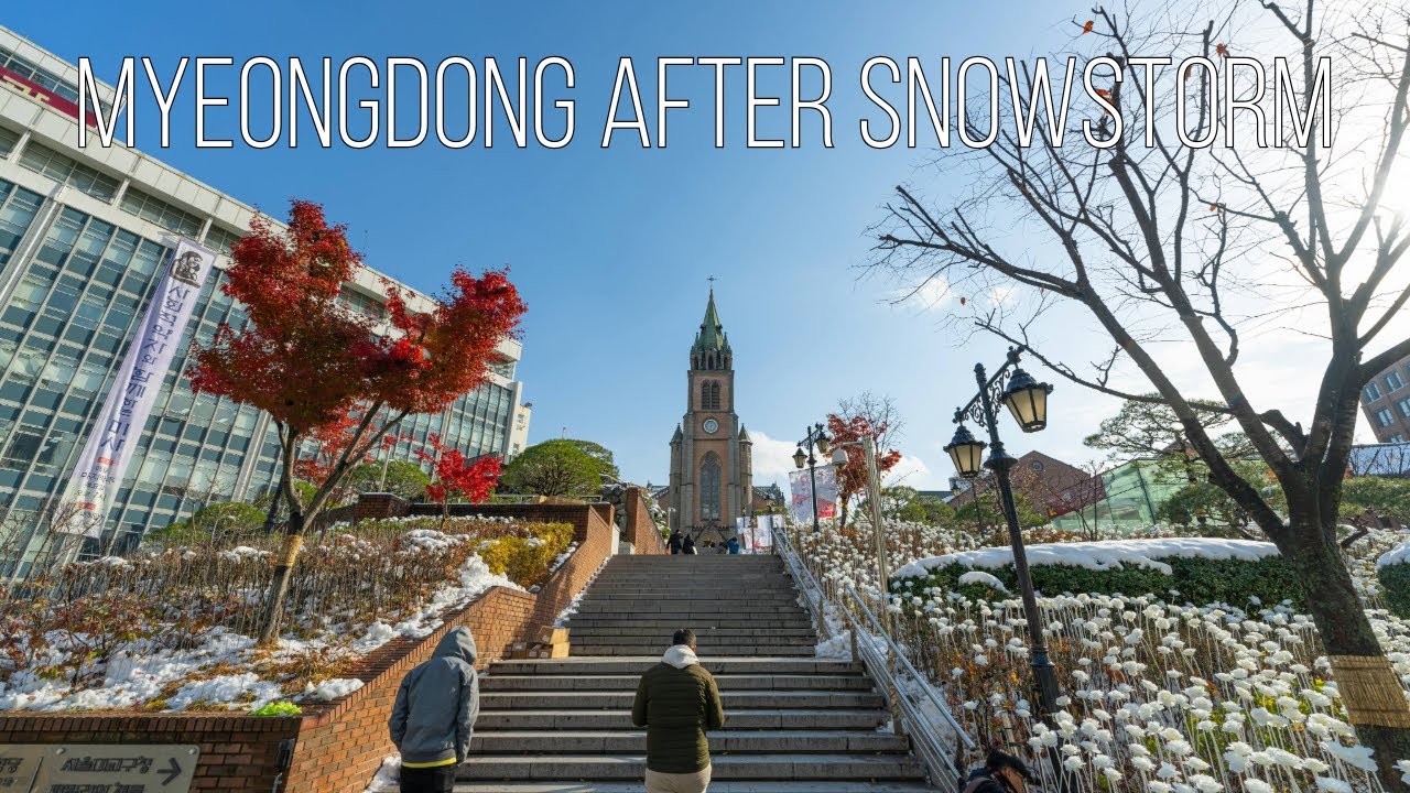 [8K Seoul] Myeongdong after Snowstorm (폭설 뒤의 명동)