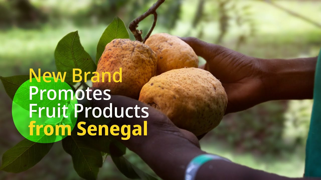 A Branded Fruit Boosts Economic and Community Development in Senegal