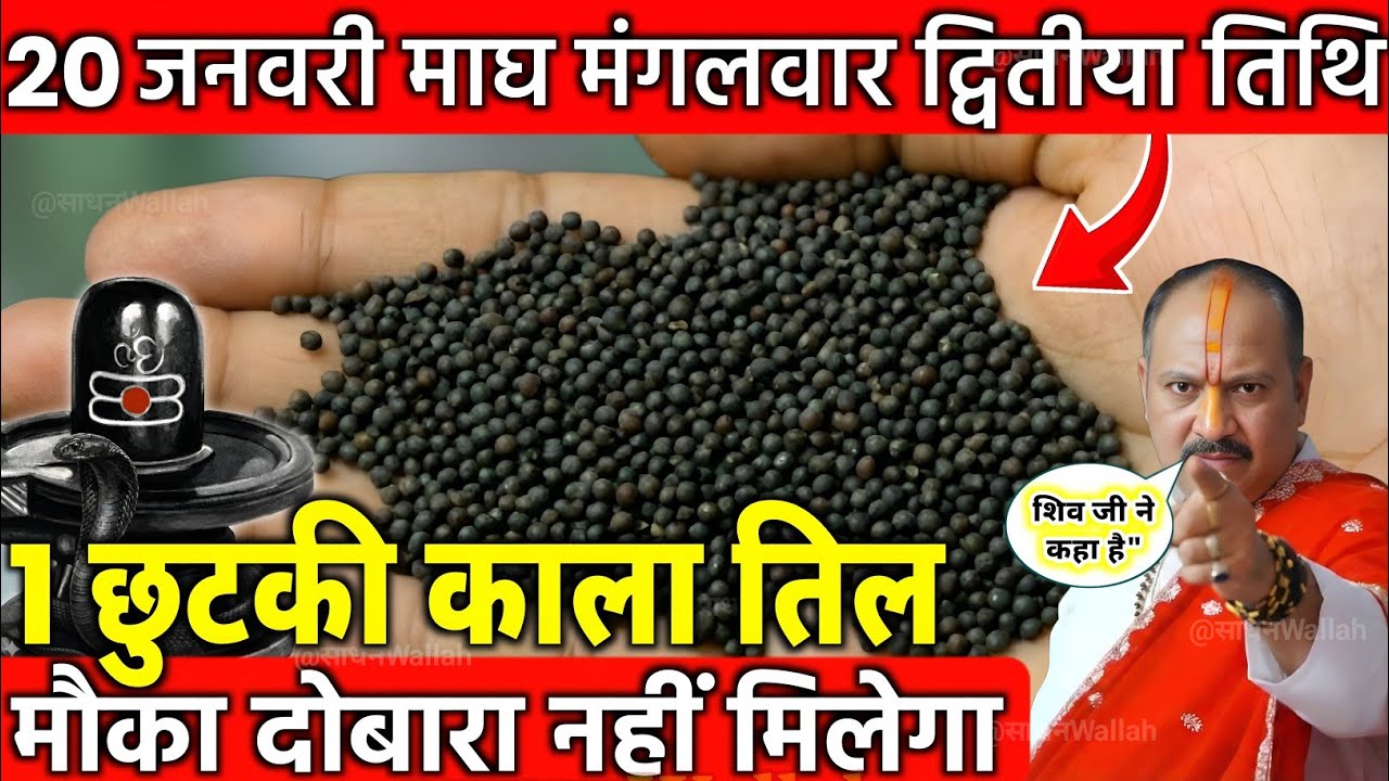 20 जनवरी माघ मंगलवार द्वितीया तिथि के दिन 1 छुटकी काला तिल वाला उपाय जरुर करे || Pradeep Ji Mishra