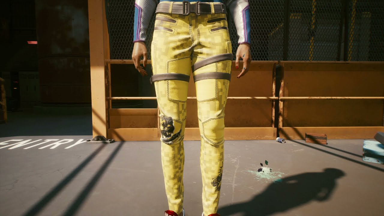 Cyberpunk 2077--canine power anti-tear pants location