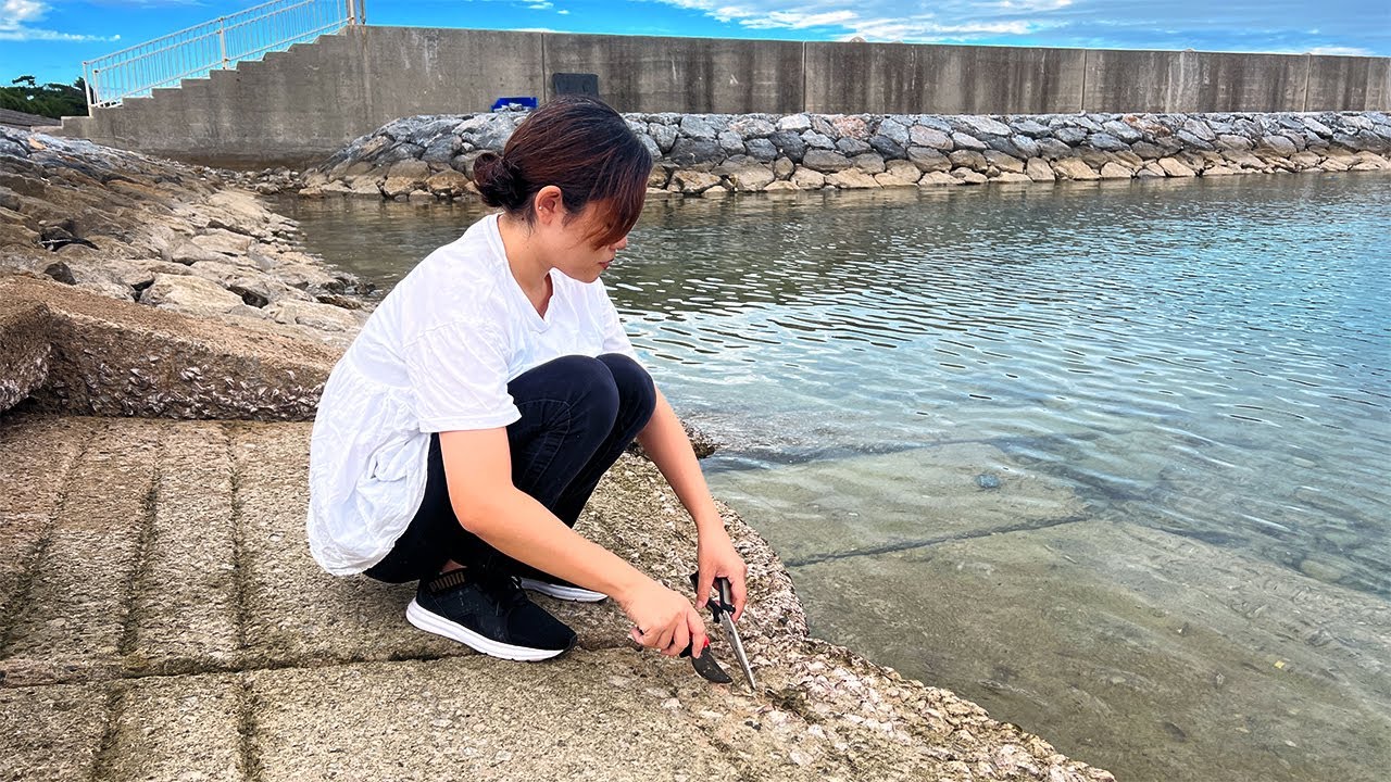 魚がよく釣れる貝を獲って穴釣りしたら面白い（チカメキントキを捌いて食べる）