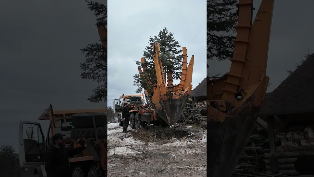 Дамо друге життя вашим зеленим насадженням 🌿