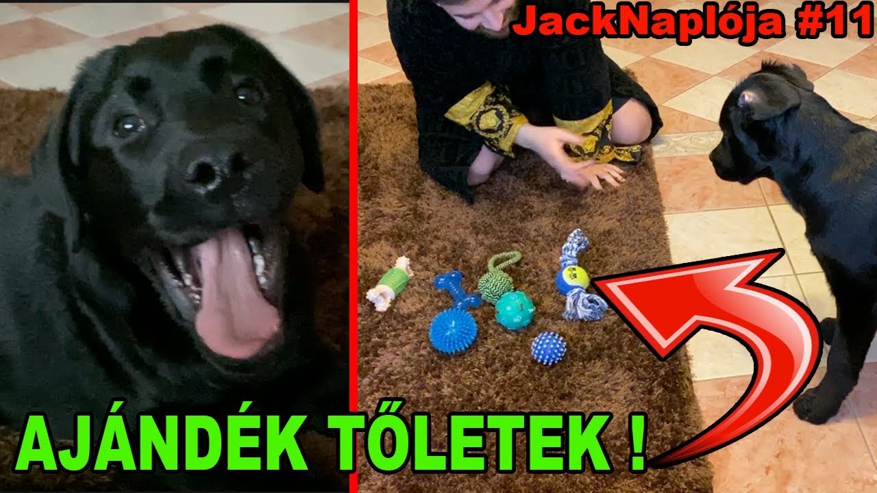 JACK AJÁNDÉKOKAT KAP TŐLETEK ! | JACK NAPLÓJA 11. rész