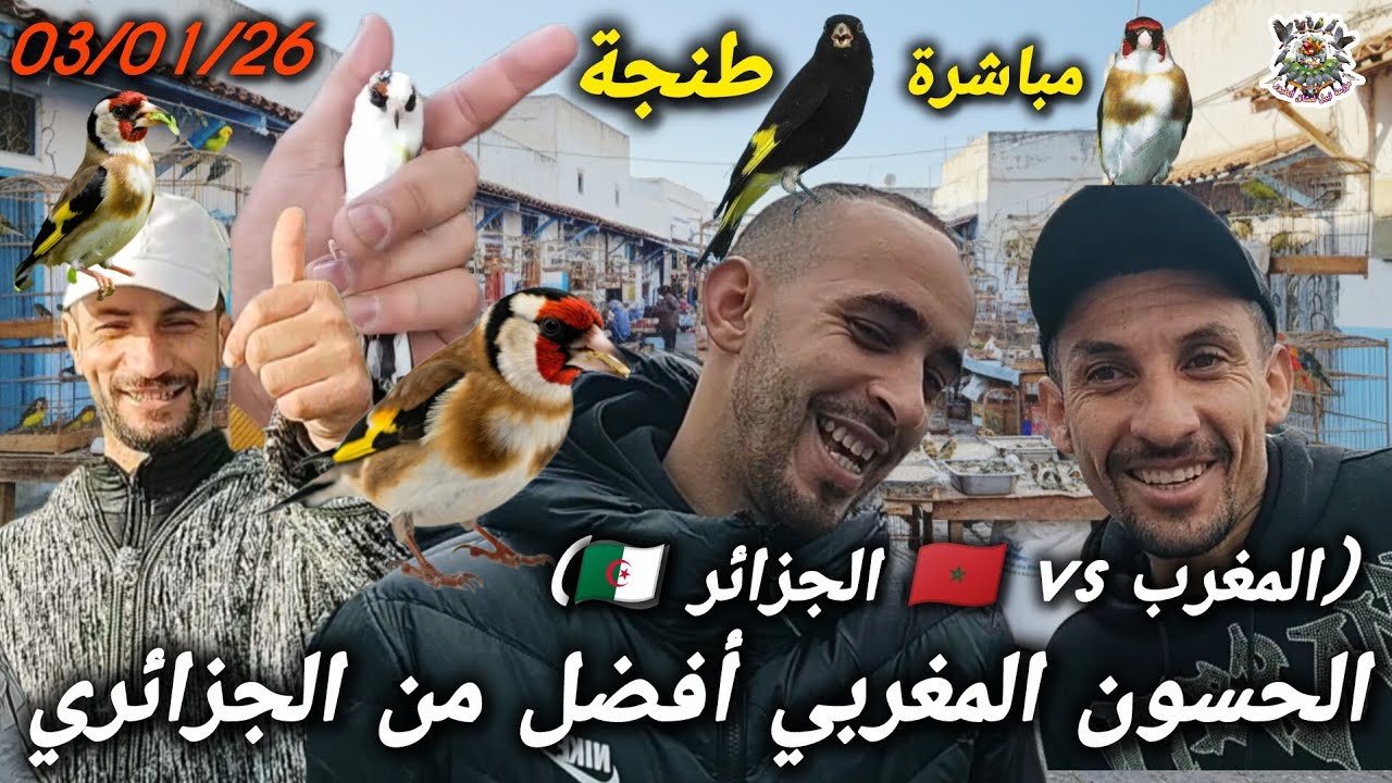 #سوق #الحسون شمال المغرب 😱 أرخص الأثمنة وعلاش المقنين المغربي مطلوب بزاف في الجزائر 🇩🇿🇲🇦