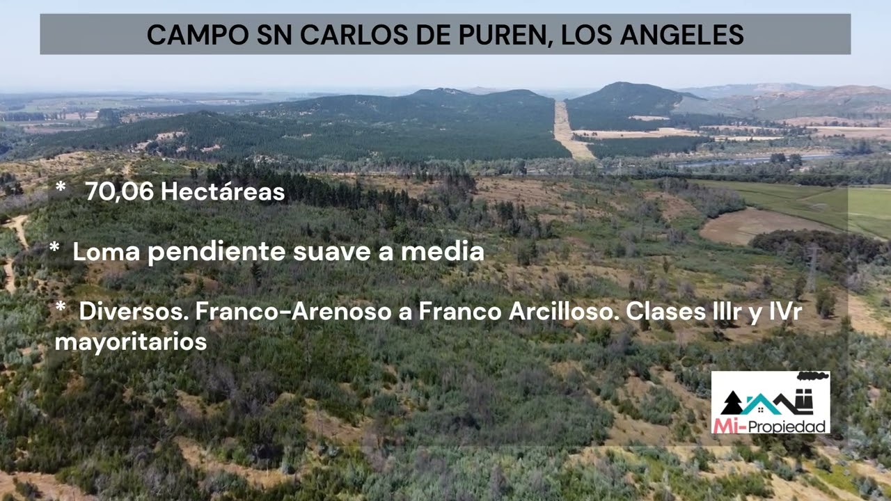 Campo Sn Carlos 70 has