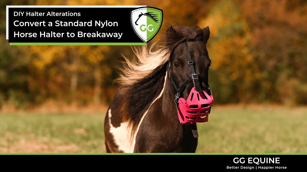 DIY Halter Alterations: Convert a Standard Nylon Halter into a Breakaway Safety Halter