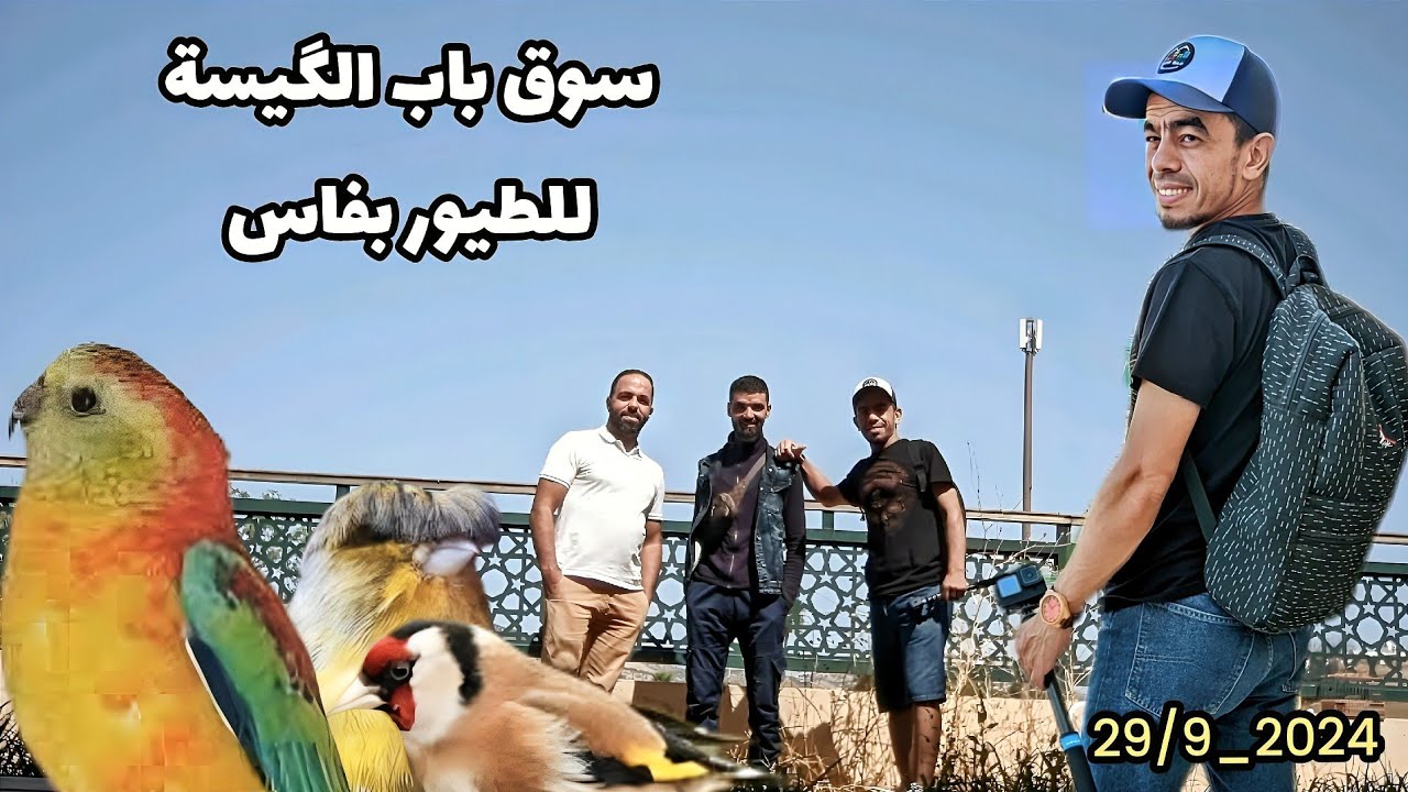 سوق باب الگيسة بفاس للطيور المغردة وطيور الزينة  bird's market bab el guissa fes 29_sep 2024