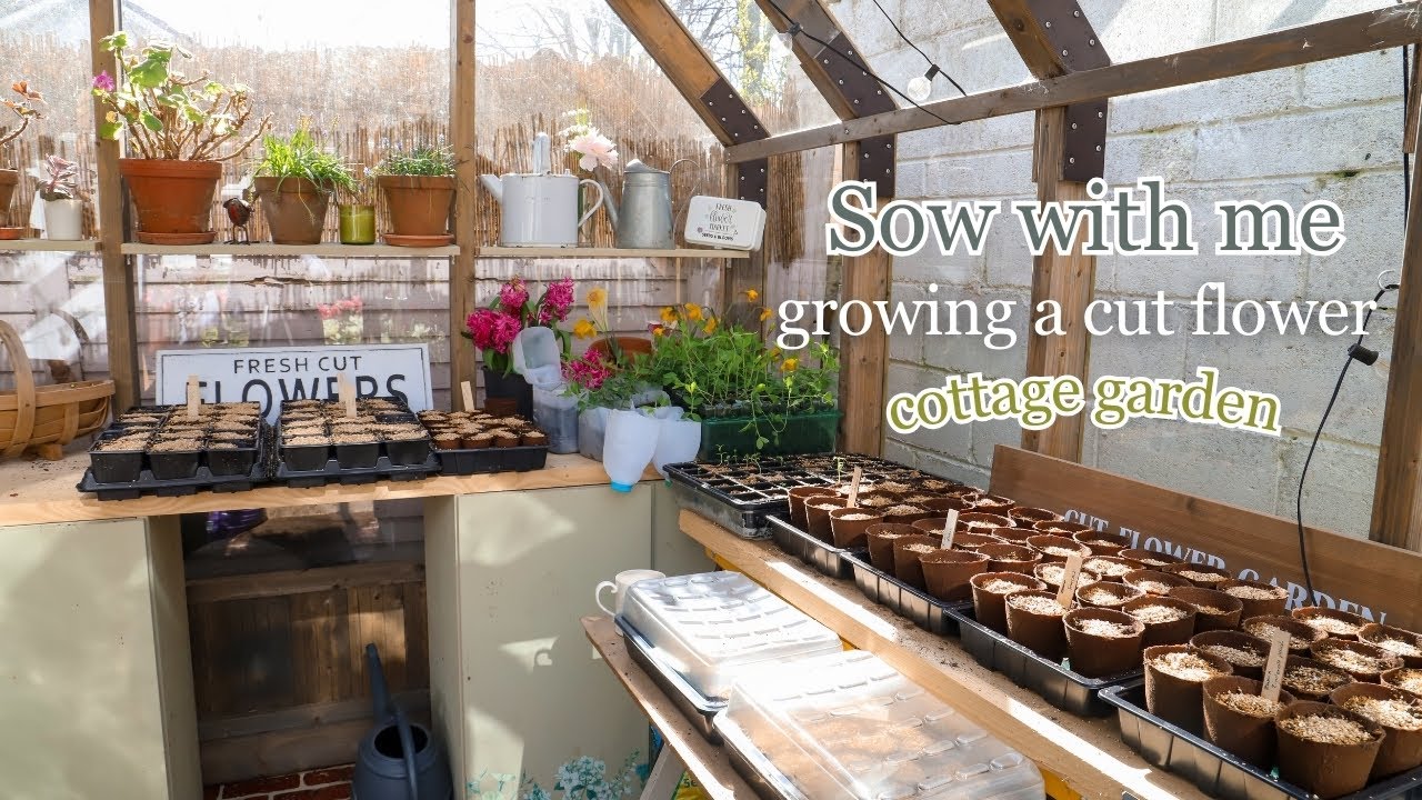 How I Grow a Stunning Cut Flower Cottage Garden from Seed! 🌻