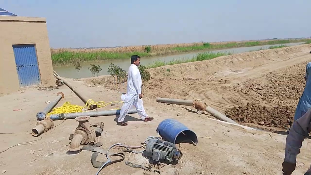 Jarwar fish 🐠🐠 🐠 farm Bazi Khan jarwar 