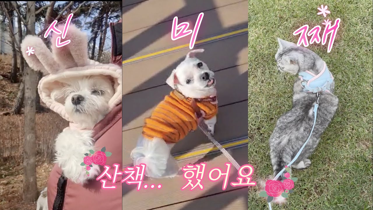 세상 끝까지 함께 갈까?
