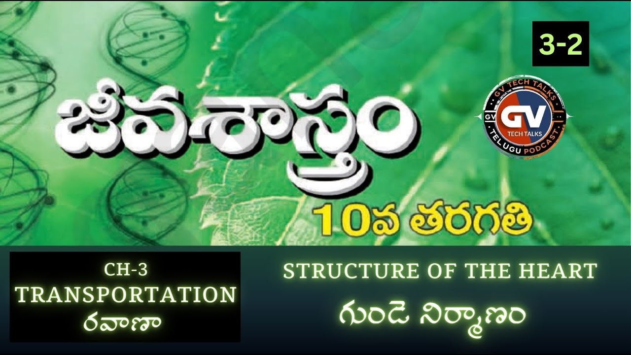 X BIOLOGY -  CH 3-2 - HUMAN HEART- PODCAST