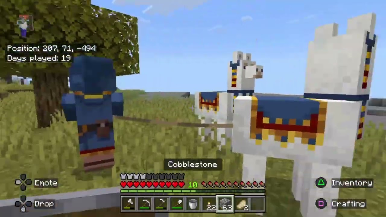 Minecraft