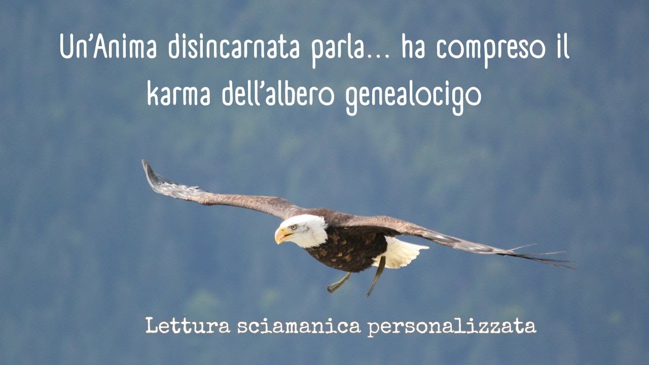 UN'ANIMA DISINCARNATA PARLA... HA COMPRESO IL KARMA DELL'ALBERO GENEALOGICO - LETT. SCIAMANICA PER.