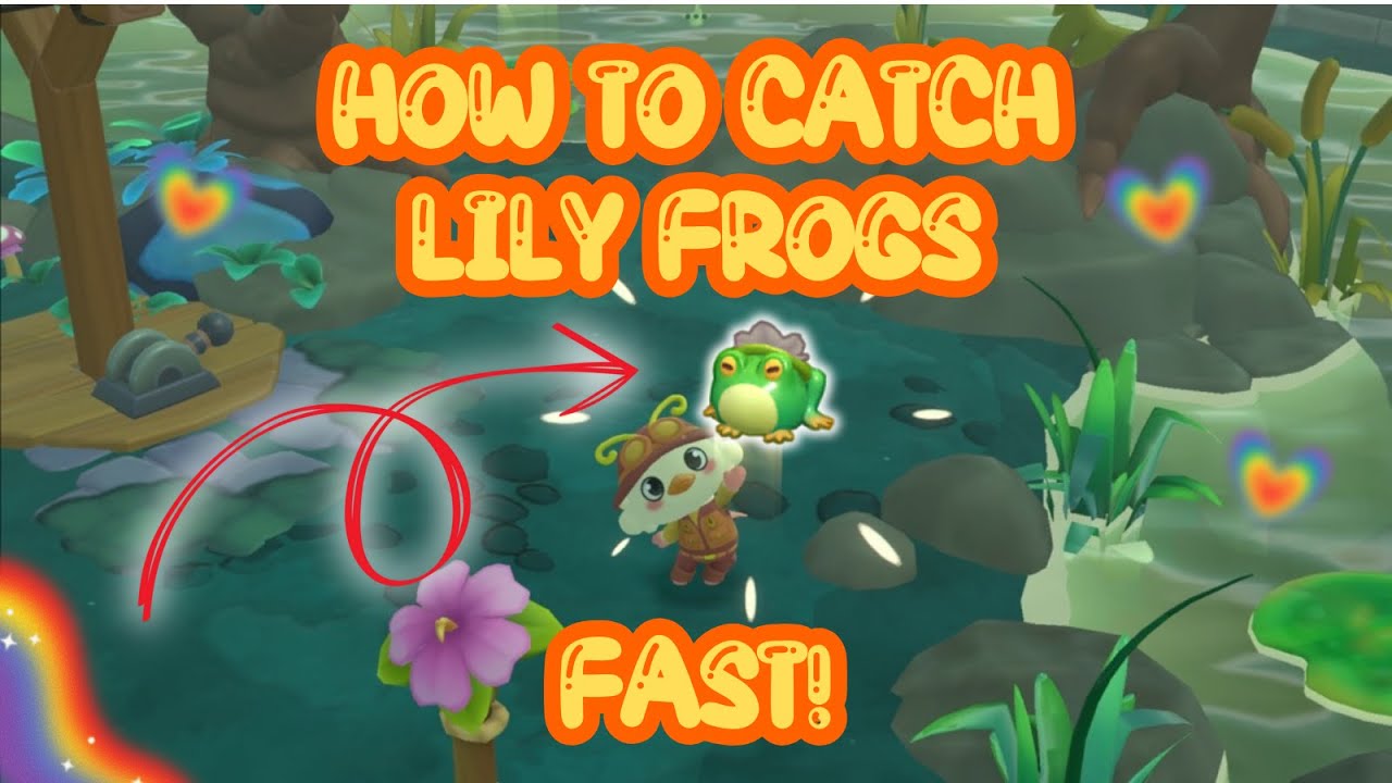 How to Catch 100 Lily Frogs FAST : Hello Kitty Island Adventure #50thanniversary #HKIA #2.1update