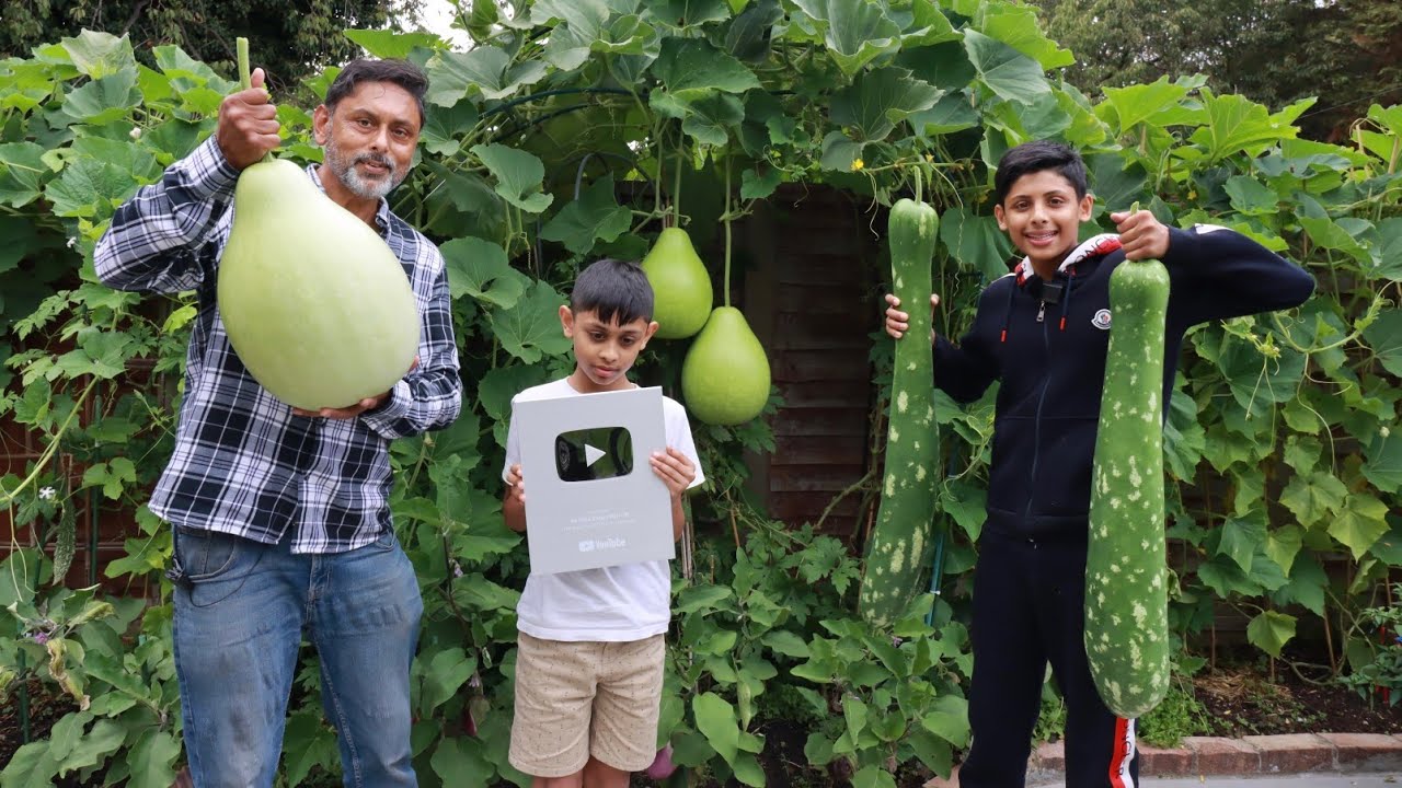 Youtube Silver Play Button! Our Biggest Garden Harvest