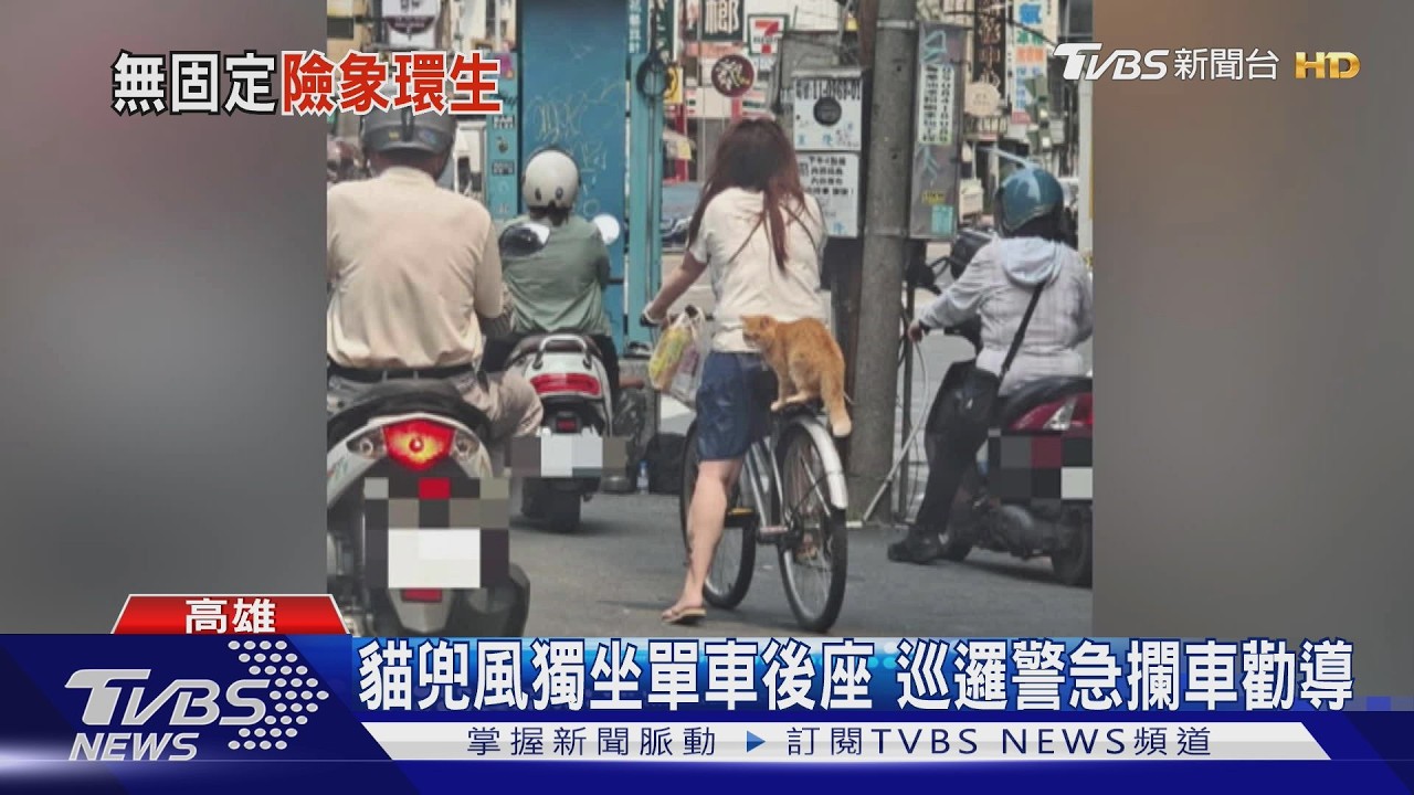 危險! 騎自行車載貓 無繫繩.提籃｢坐後座｣｜TVBS新聞 @TVBSNEWS01