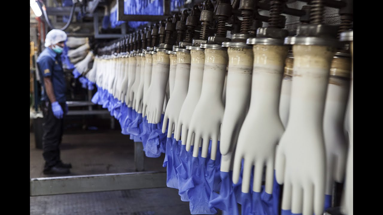 Latex glove supplier, Latex glove making factory