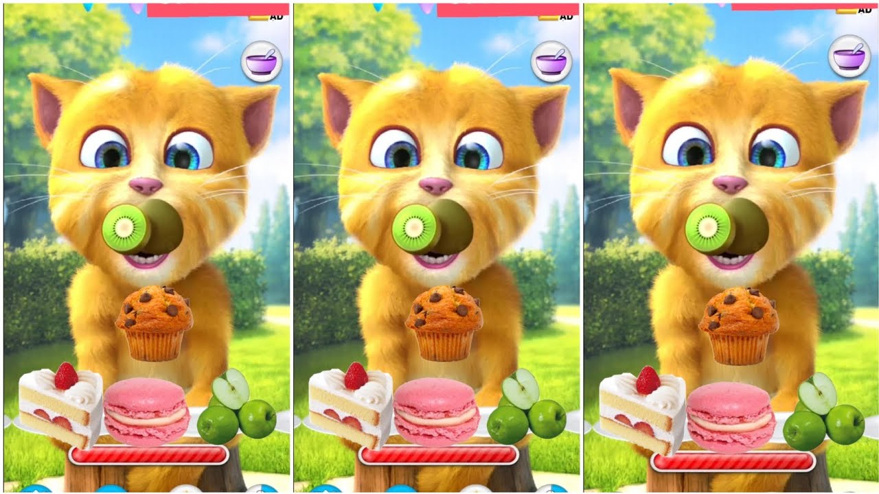 My talking ginger 2 cat billi 🥦🥝🍟🌰🎂🥨🍑🥐🍇🍌🍈🥯🍔🥭 all time eating