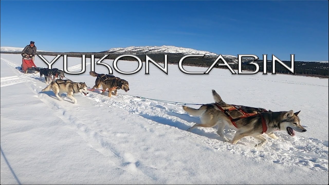 Yukon Dogsledding - Mushing a Team of Alaskan Huskies - Cabin Life E.5